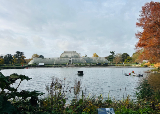 Y5 visit to Kew Gardens, London